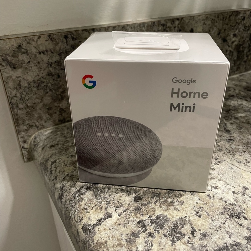 Google Nest Mini in Charcoal